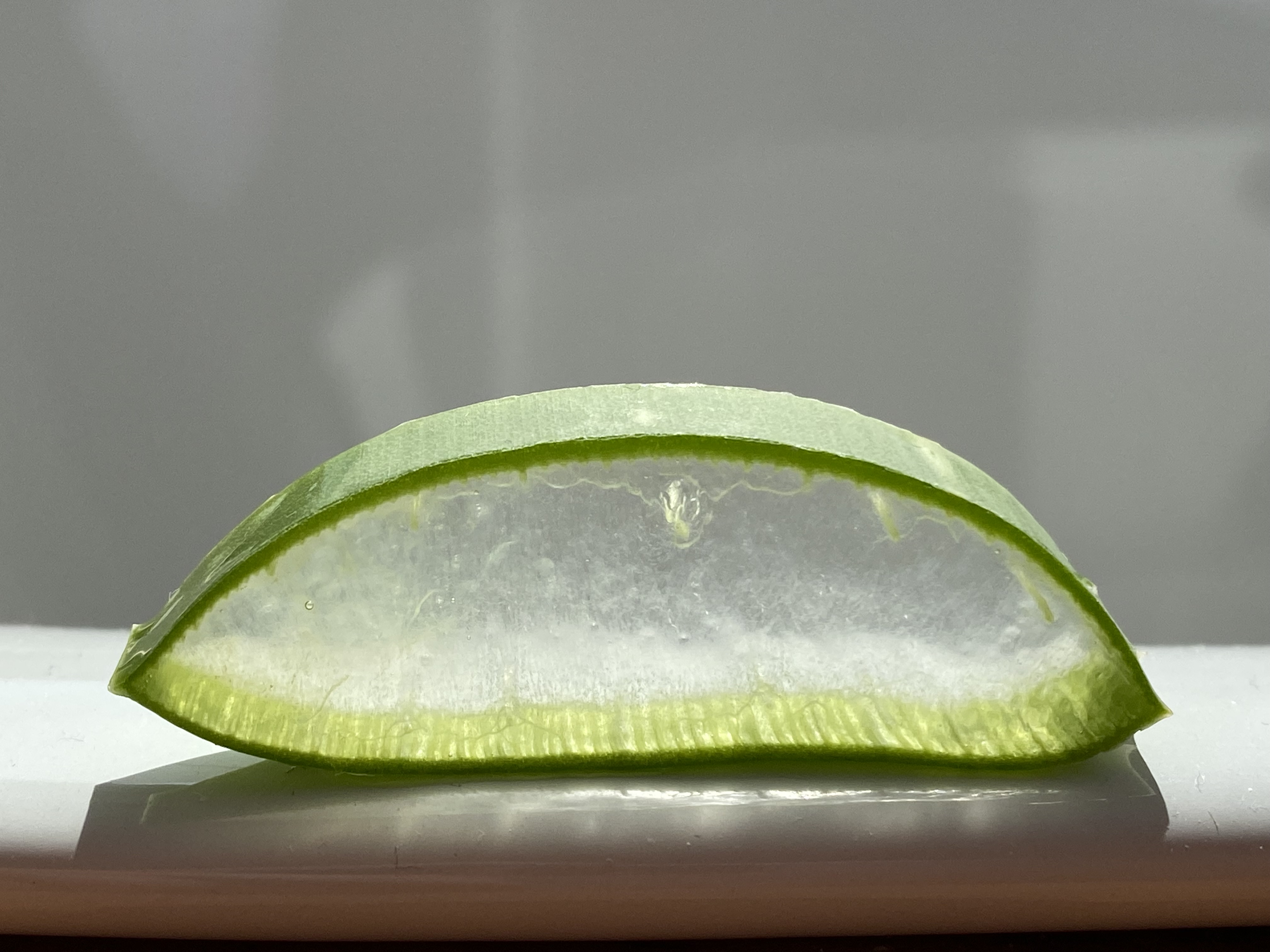 ALOE VERA GOOD MORNING